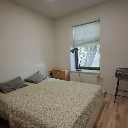 Апартаменты Maiznicas House