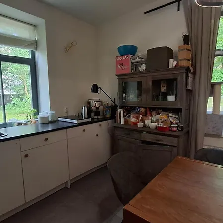 Maiznicas House דירה *