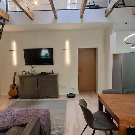 Maiznicas House דירה ריגה