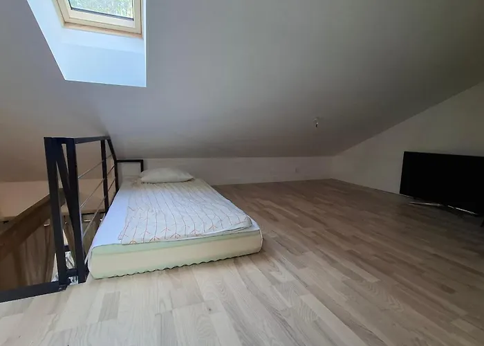 Maiznicas House Апартаменты